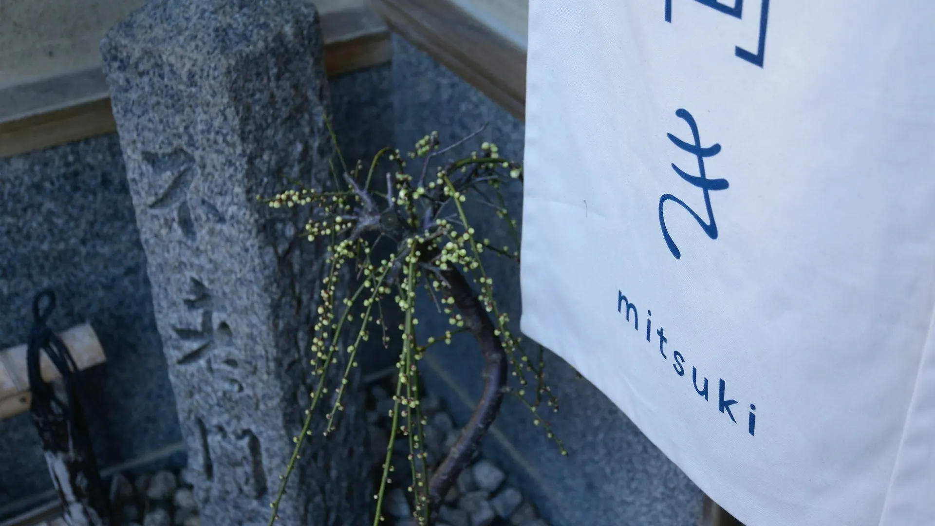 Mitsuki Kyoto Hotel Ryokan