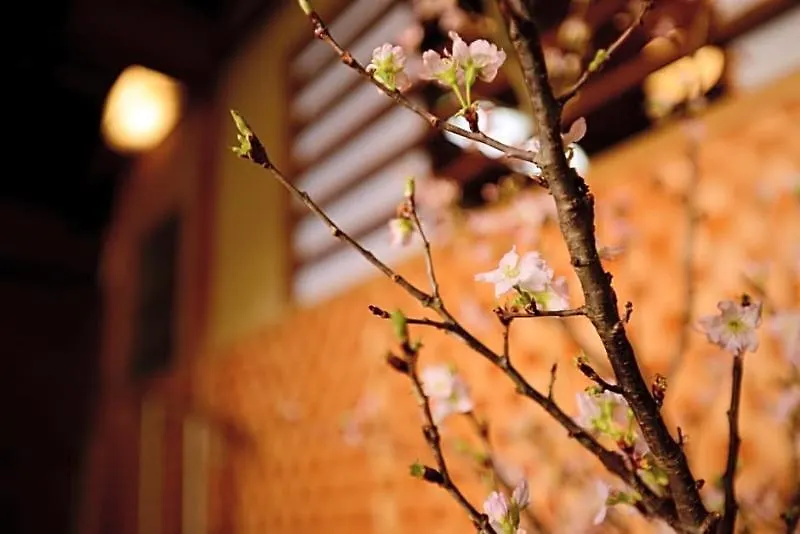 Mitsuki Kyoto Hotel Japan